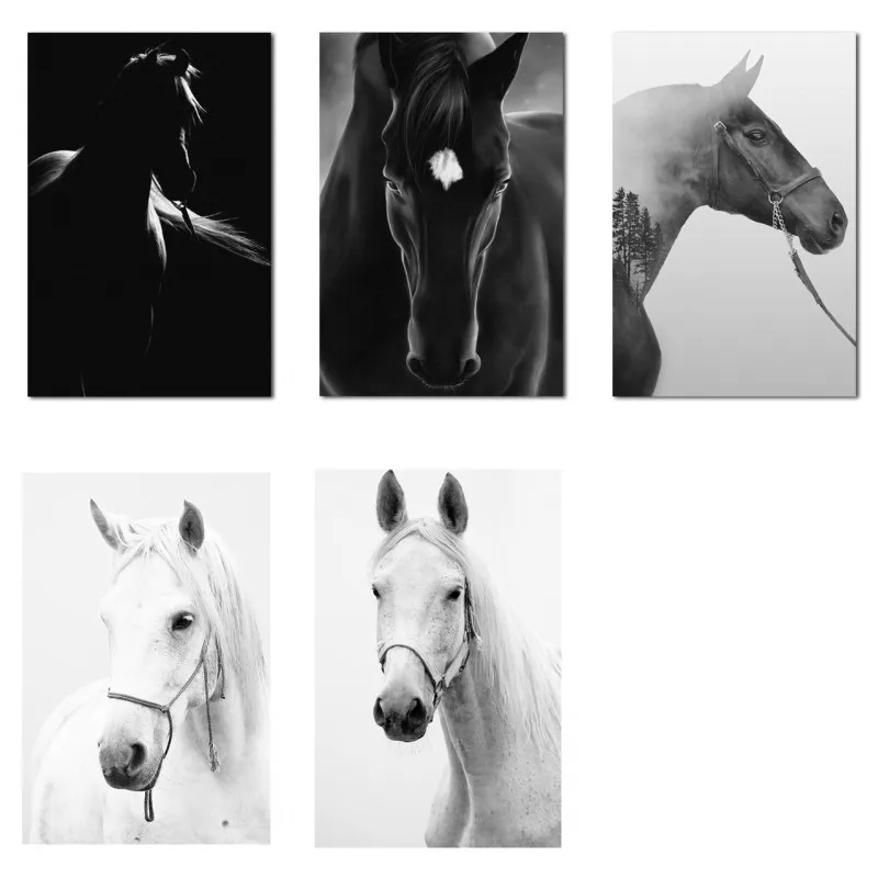 Черно-белое полотно на стене, плакаты с животными и лошадьми, принты с изображением скакуна, современные картины для декора гостиной и спальни 4
