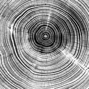Деревянное кольцо на дереве, художественная роспись на холсте, настенная мебель, черно-белые принты на холсте в деревенском стиле, Современные плакаты по дереву, декор 1