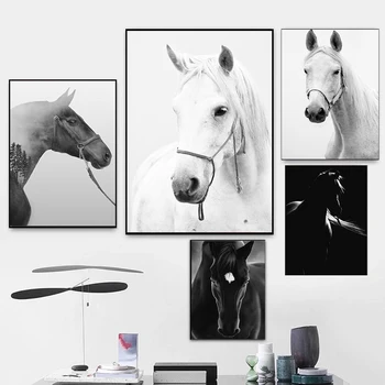 Черно-белое полотно на стене, плакаты с животными и лошадьми, принты с изображением скакуна, современные картины для декора гостиной и спальни